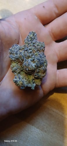 Sherblato Indoor - Bulk - Hybrid photo review