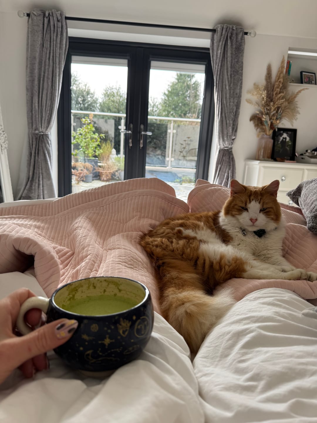 Customer photo review of DIRTEA Matcha