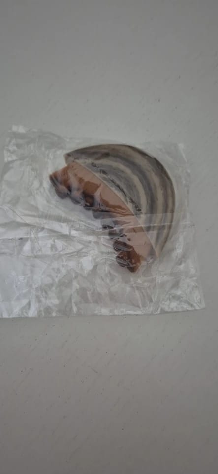 Customer photo review of Numa Brush