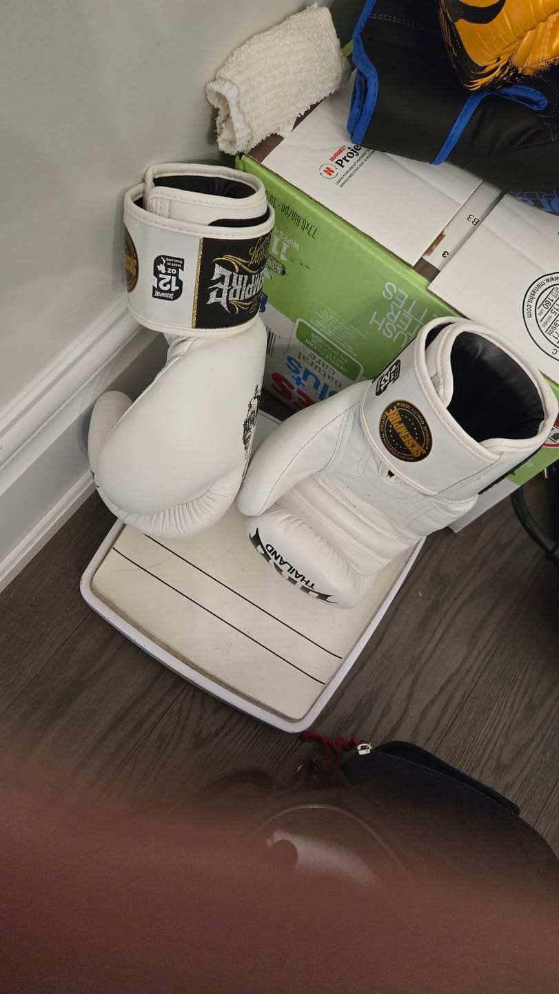 Customer photo review of SKS SAKYANT LEATHER VELCRO BOXING GLOVES