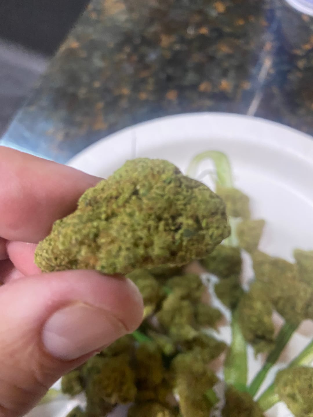 Customer photo review of Lemon Freeze Indoor THCA