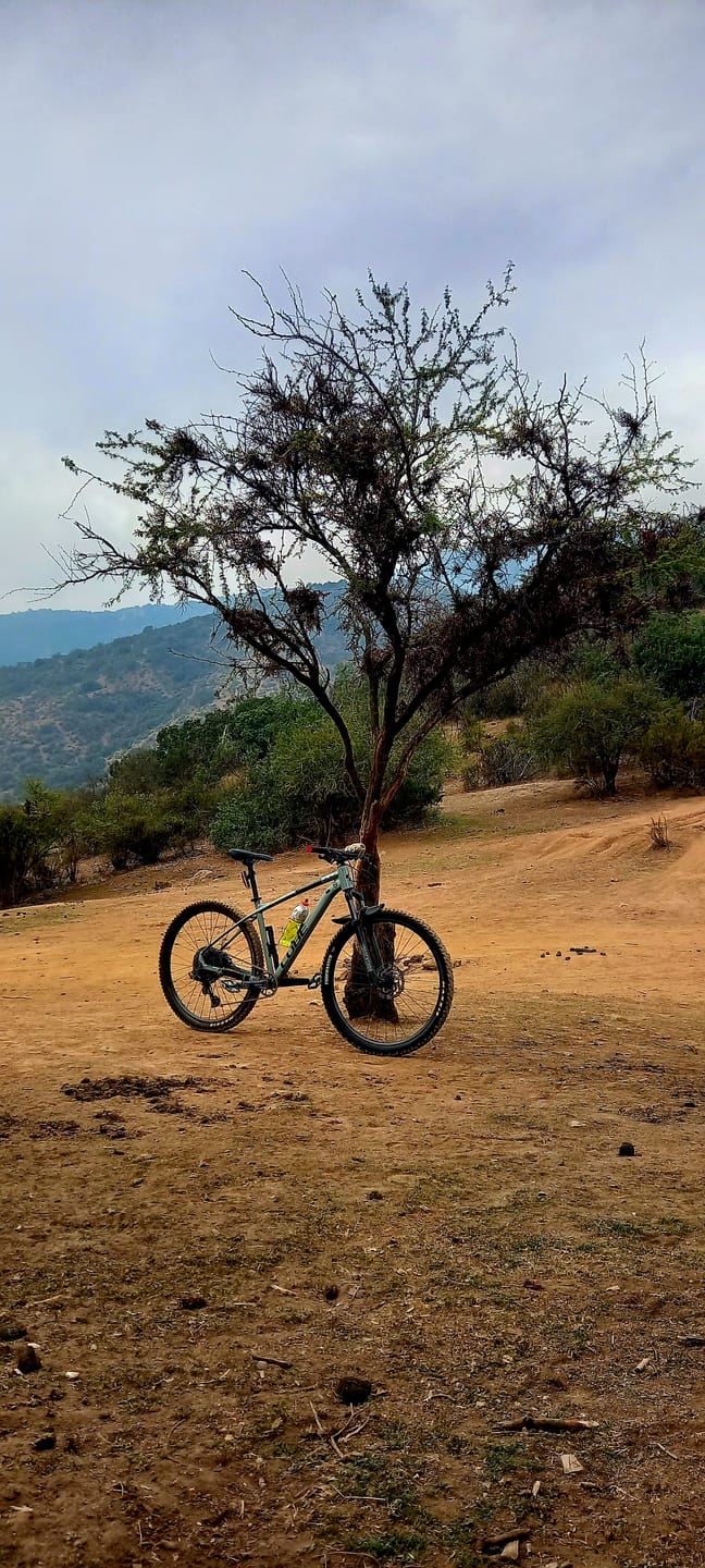 Customer photo review of Parlante Bluetooth Blik Rider 8W IPX7 5H Clip color Militar