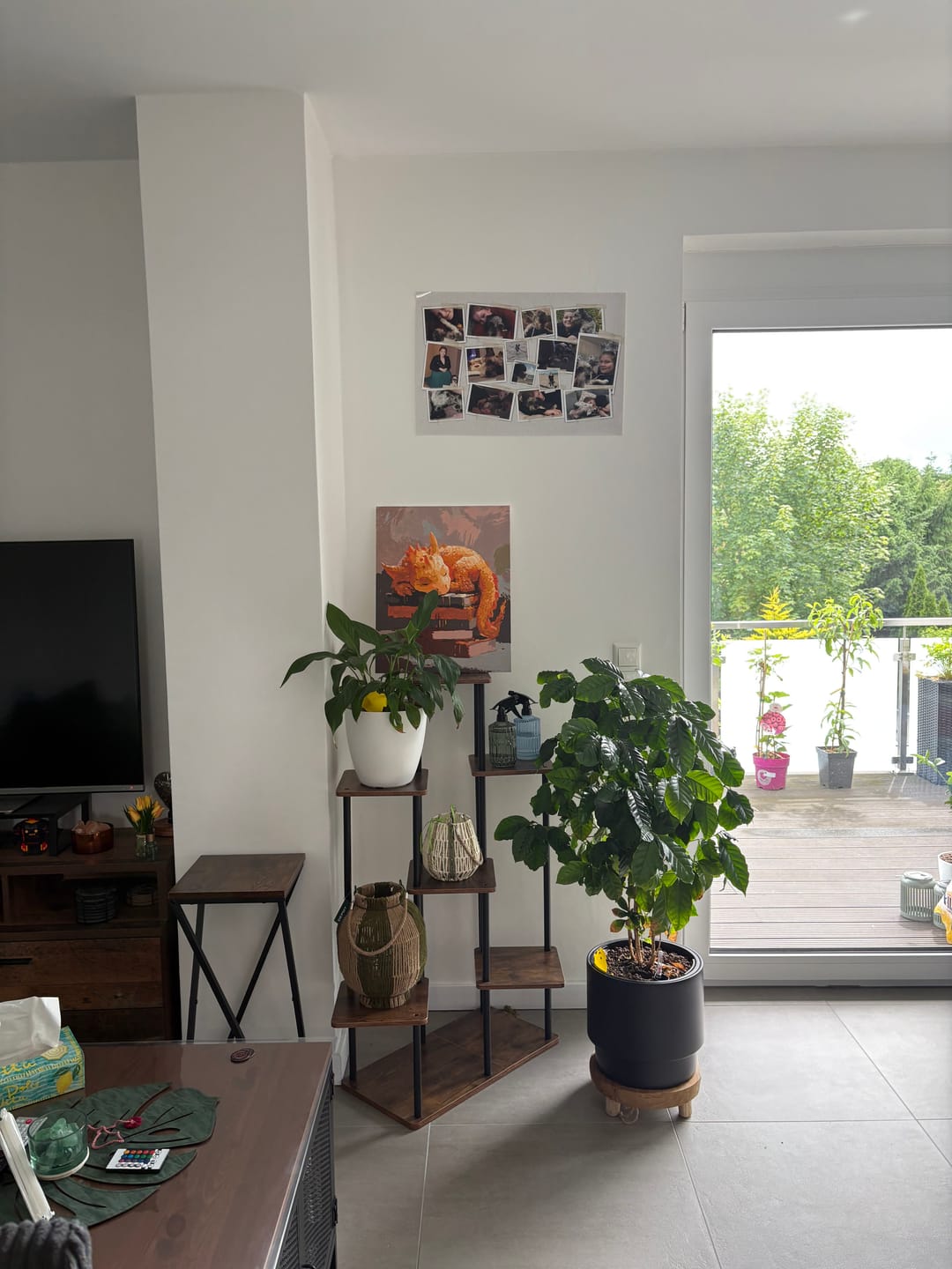 Customer photo review of Malen nach Zahlen - Hüter der Weisheit