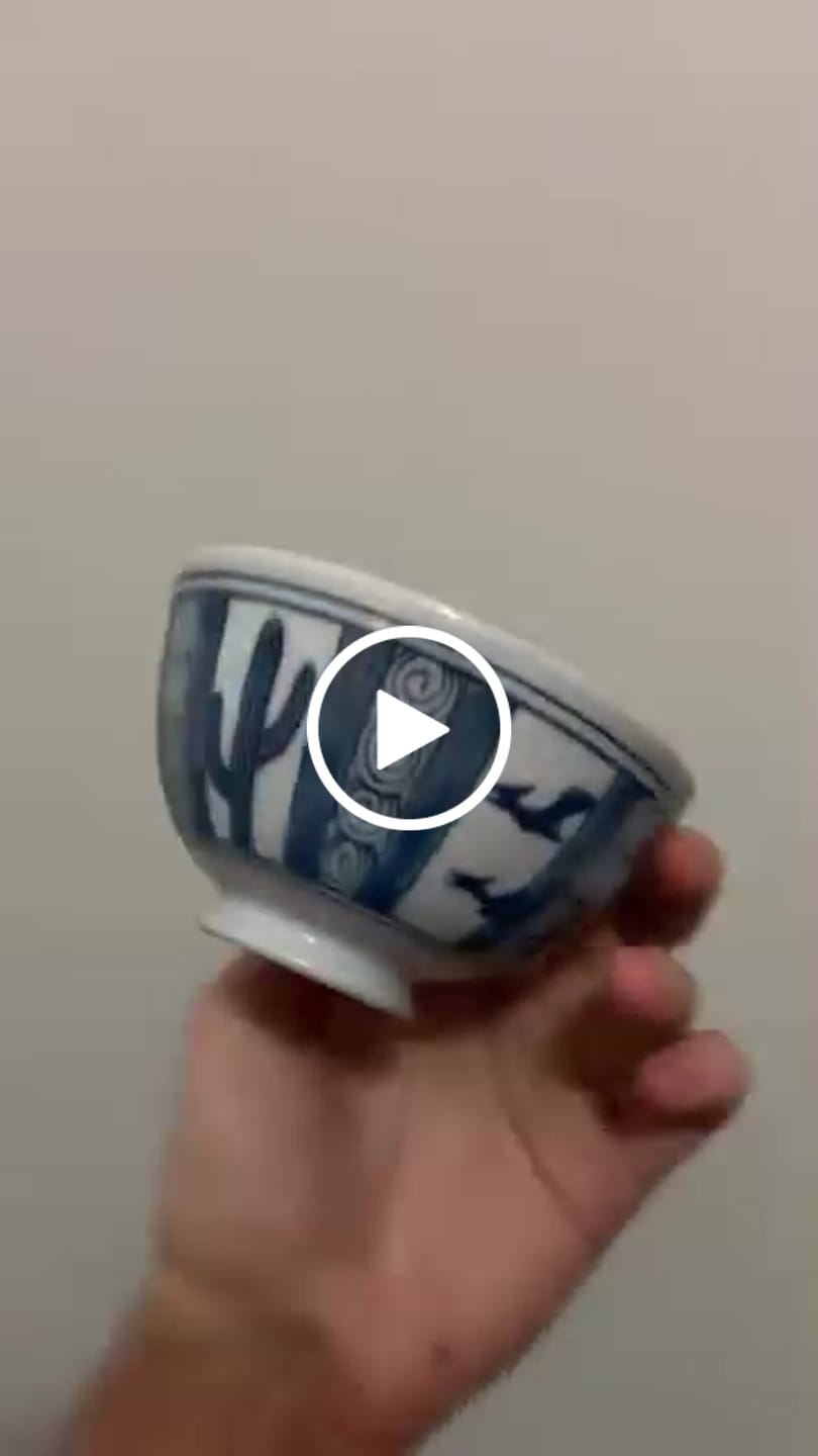 Customer video review of Edo-style Dinosaur Rice Bowl – Twin Wing Dragon