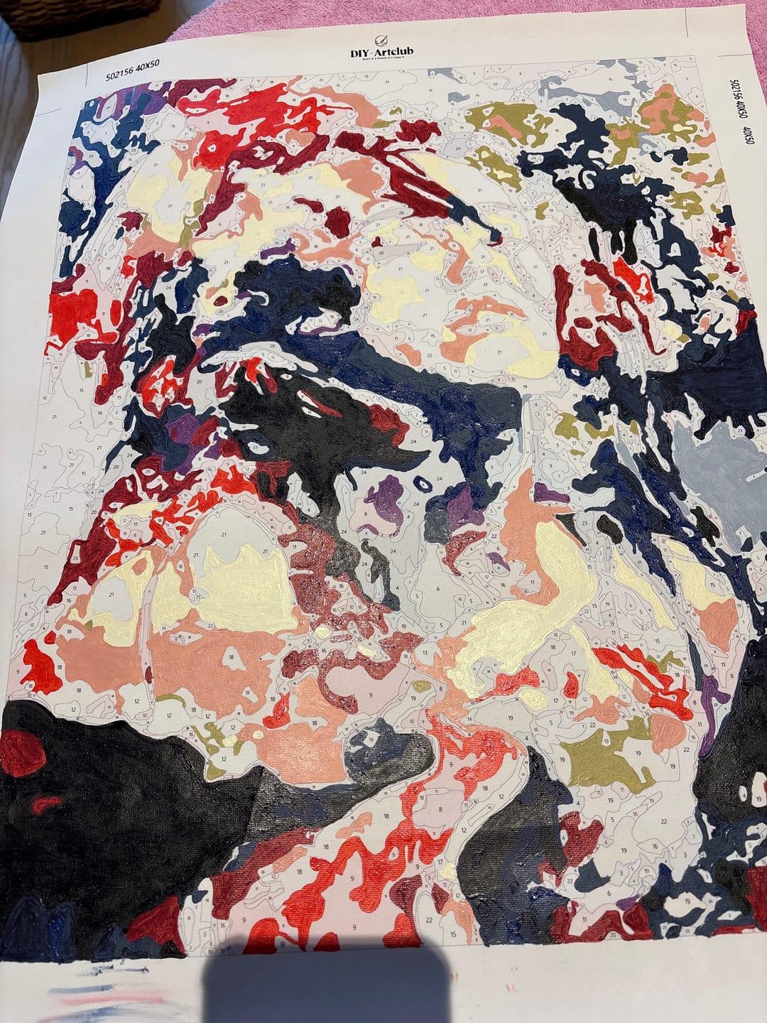 Customer photo review of Colorful Abstract Woman | Paint by Numbers