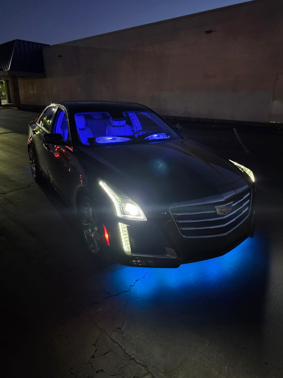 Customer photo review of Electra Eyes - LED Animated Eyes
