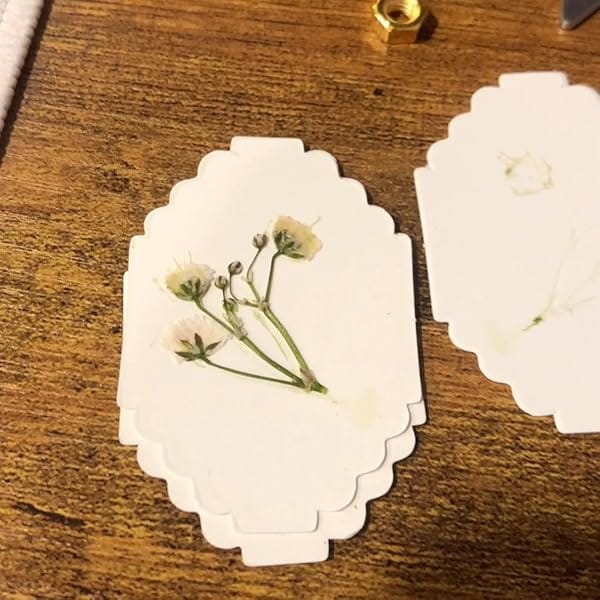 Customer photo review of Mini Flower Press