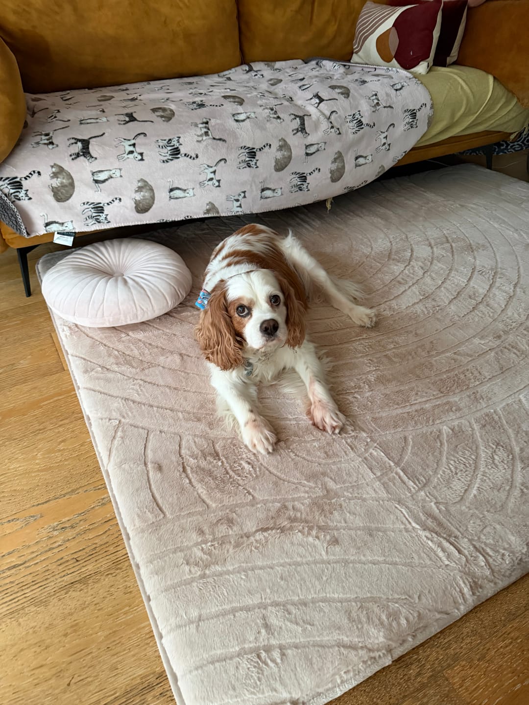 Customer photo review of Designer Relax Mat - 35mm Thick Foam Base