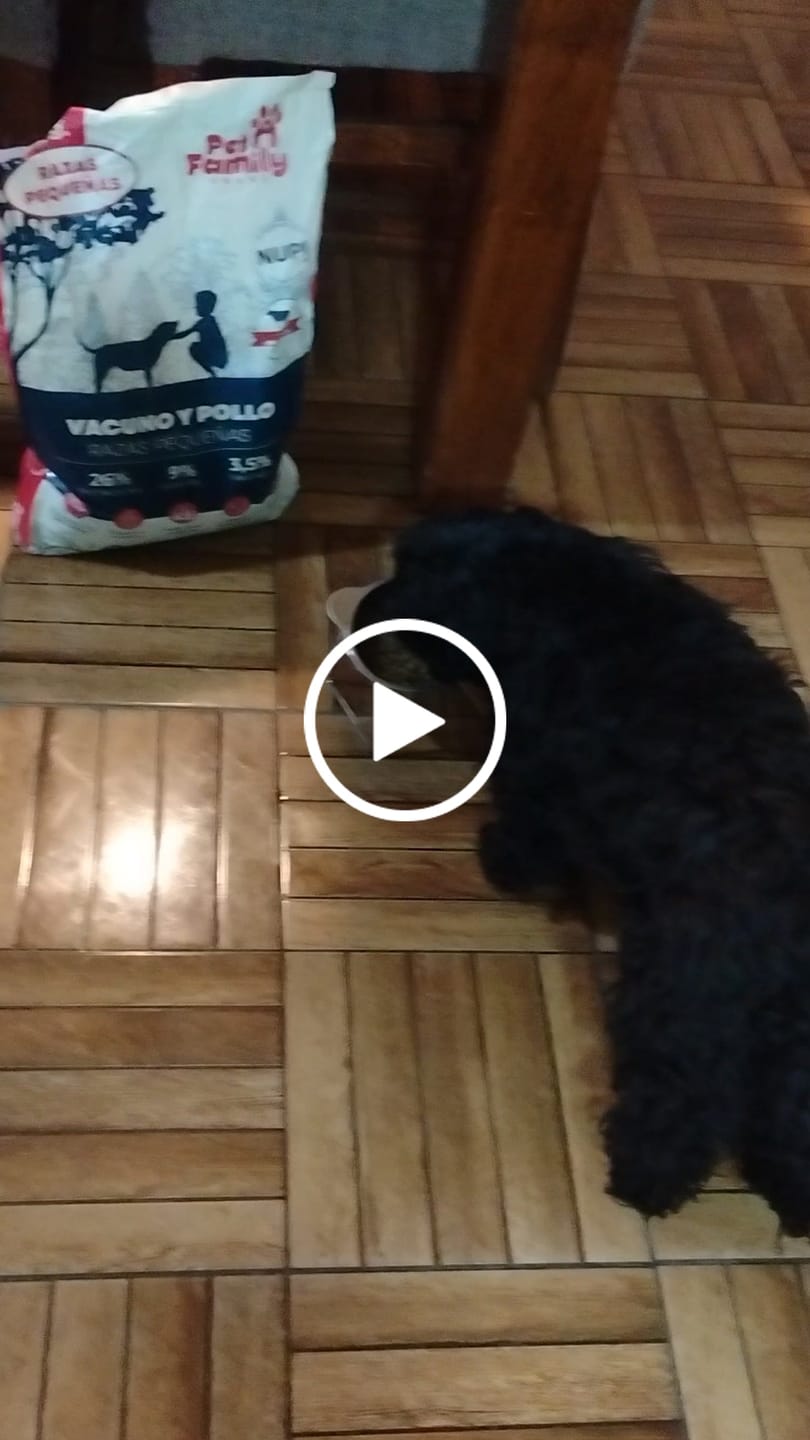 Customer video review of PetFamily Foods Razas Pequeñas