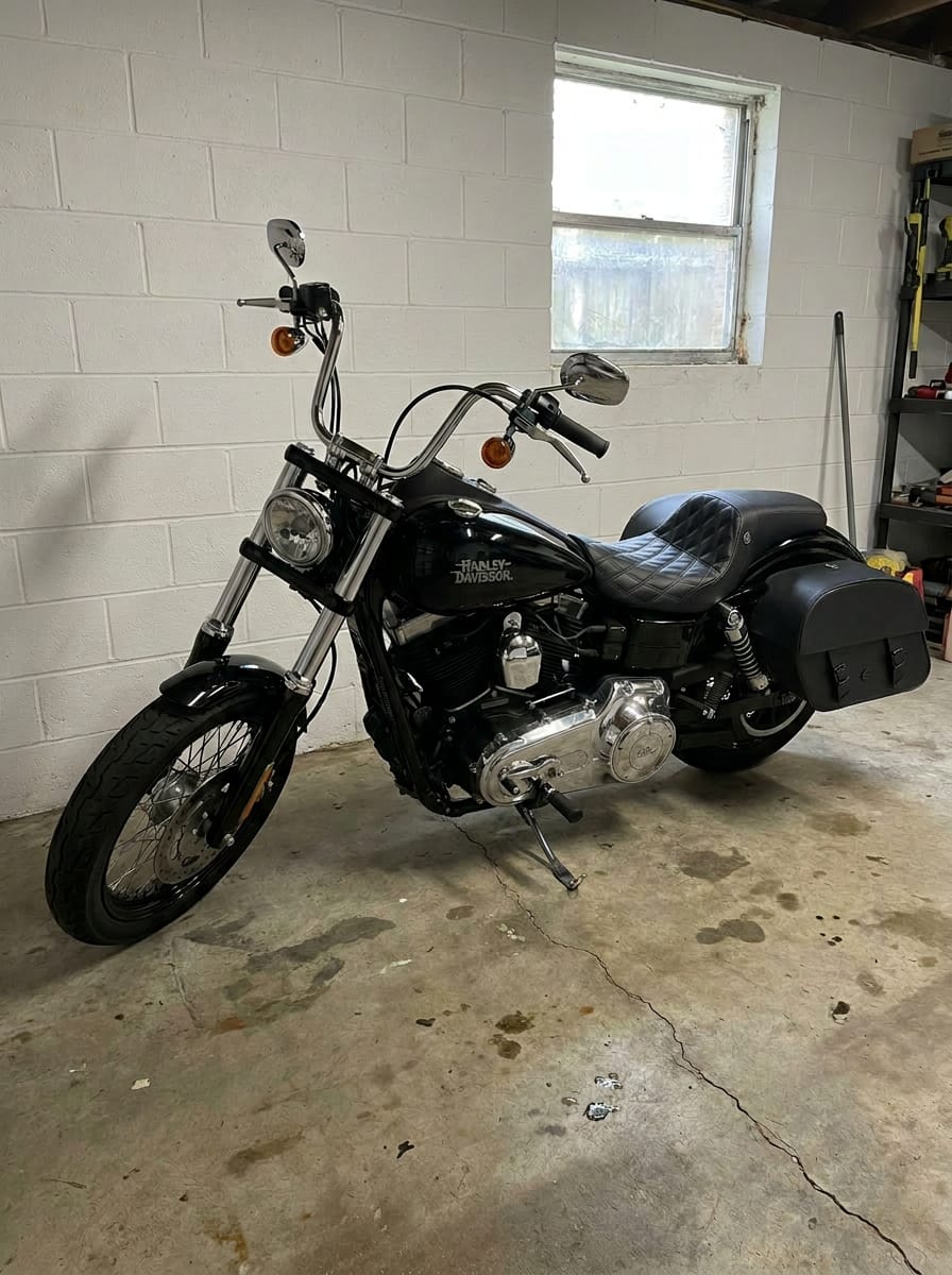 Customer photo review of 32L - Baelor Large Hard Mount Shock Cutout Saddlebags for Harley Dyna Street Bob FXDB/I