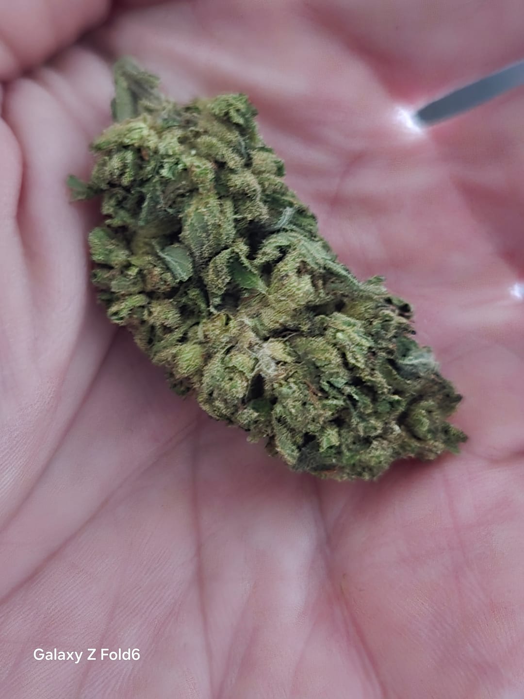 Customer photo review of Skywalker OG - 4 Grams - Indica