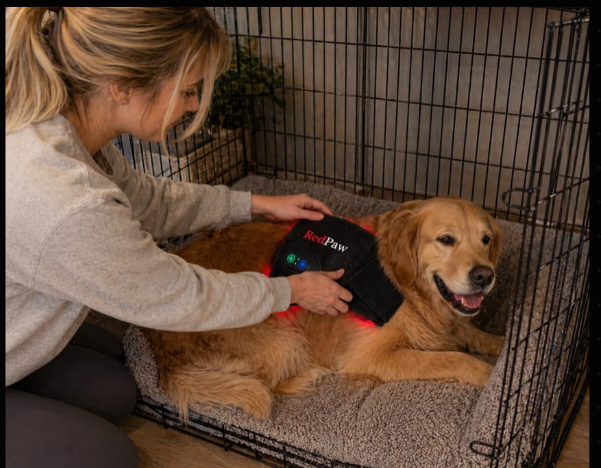 Customer photo review of RedPaw Red Light Therapy