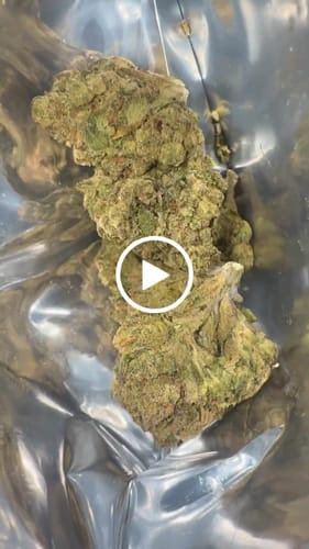 Customer video review of Toad Kandy THCA Flower