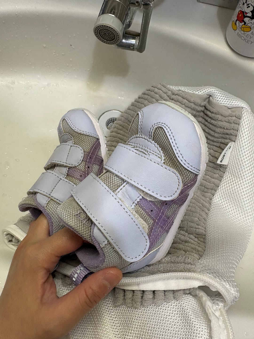 Customer photo review of ズックリーンネット(2枚1セット）正規品