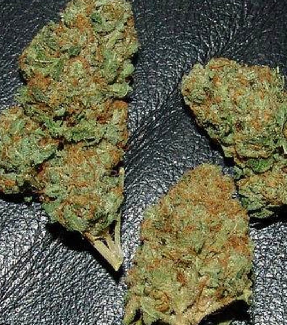 Customer photo review of Bubba OG - 14 Grams - Indica