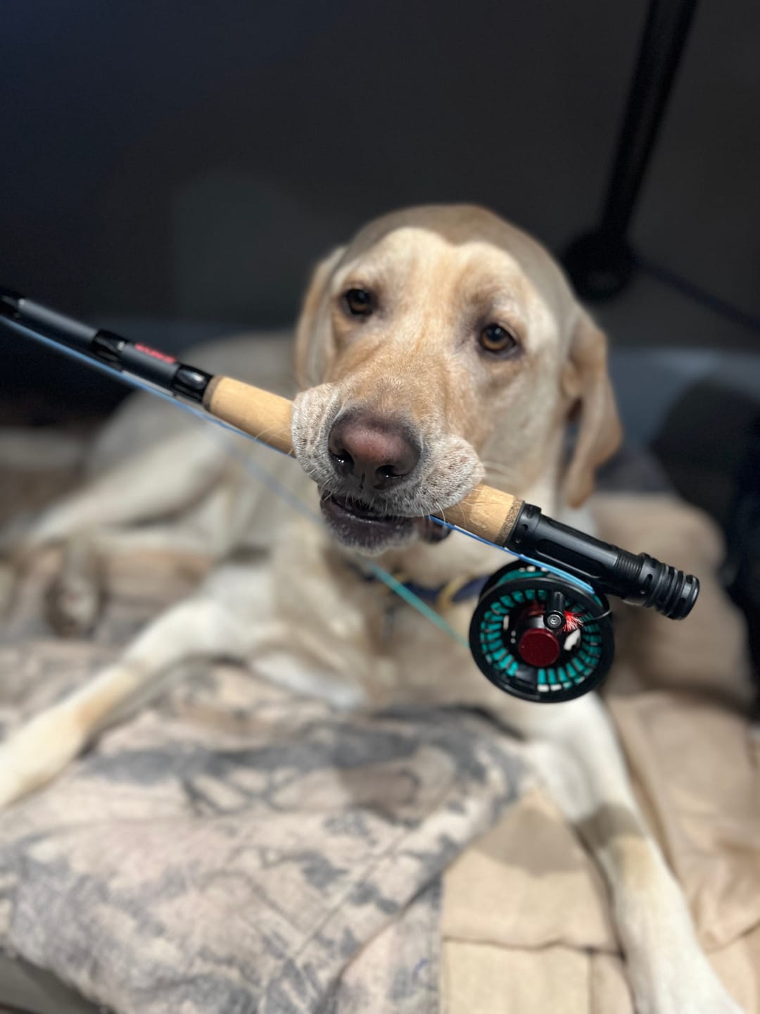 Customer photo review of FIRST CAST Pro 6wt / 8.5ft – Travel Fly Rod