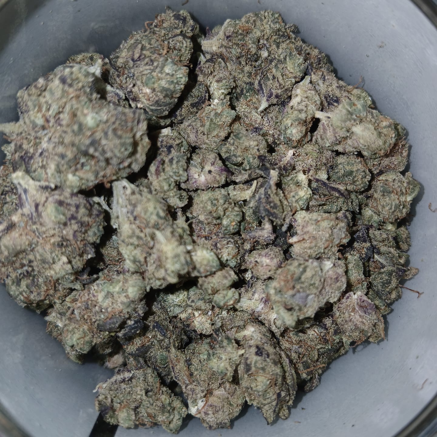 Customer photo review of Boutique Exotics - Obama Runtz - 14 Grams - Hybrid