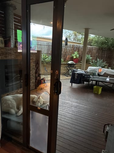 Customer photo review of Replacement Pet flap V3.0