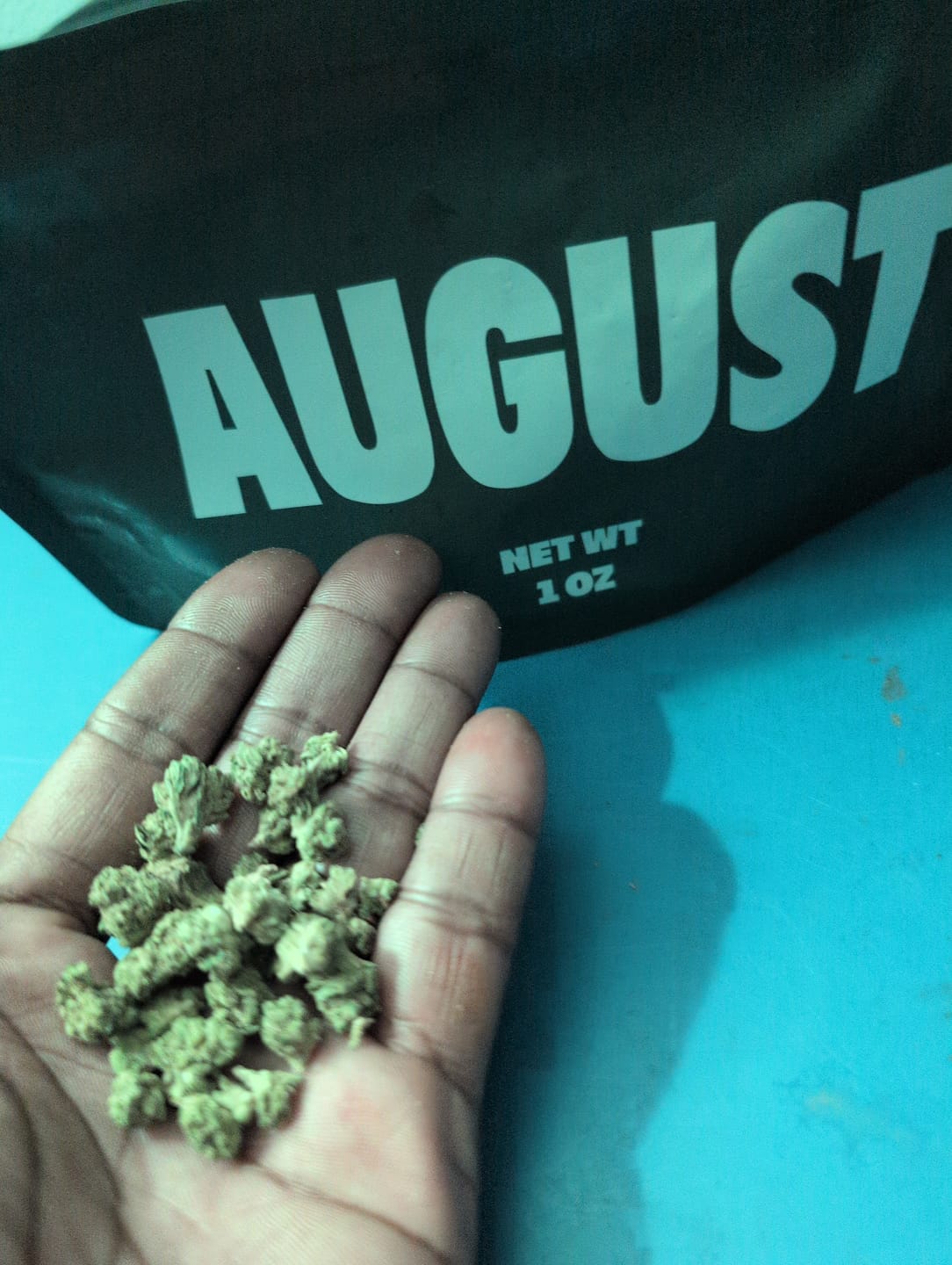 Customer photo review of Turtle Pie - Greenhouse Smalls