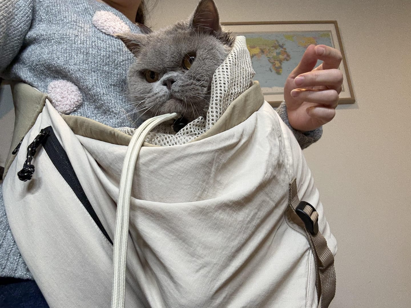 Customer photo review of 'Sling' Tote Carrier