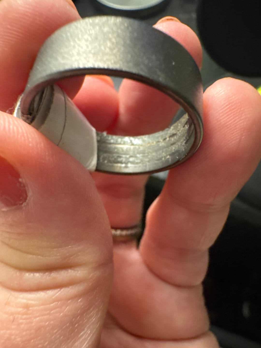 Customer photo review of The Prehistoric Oak