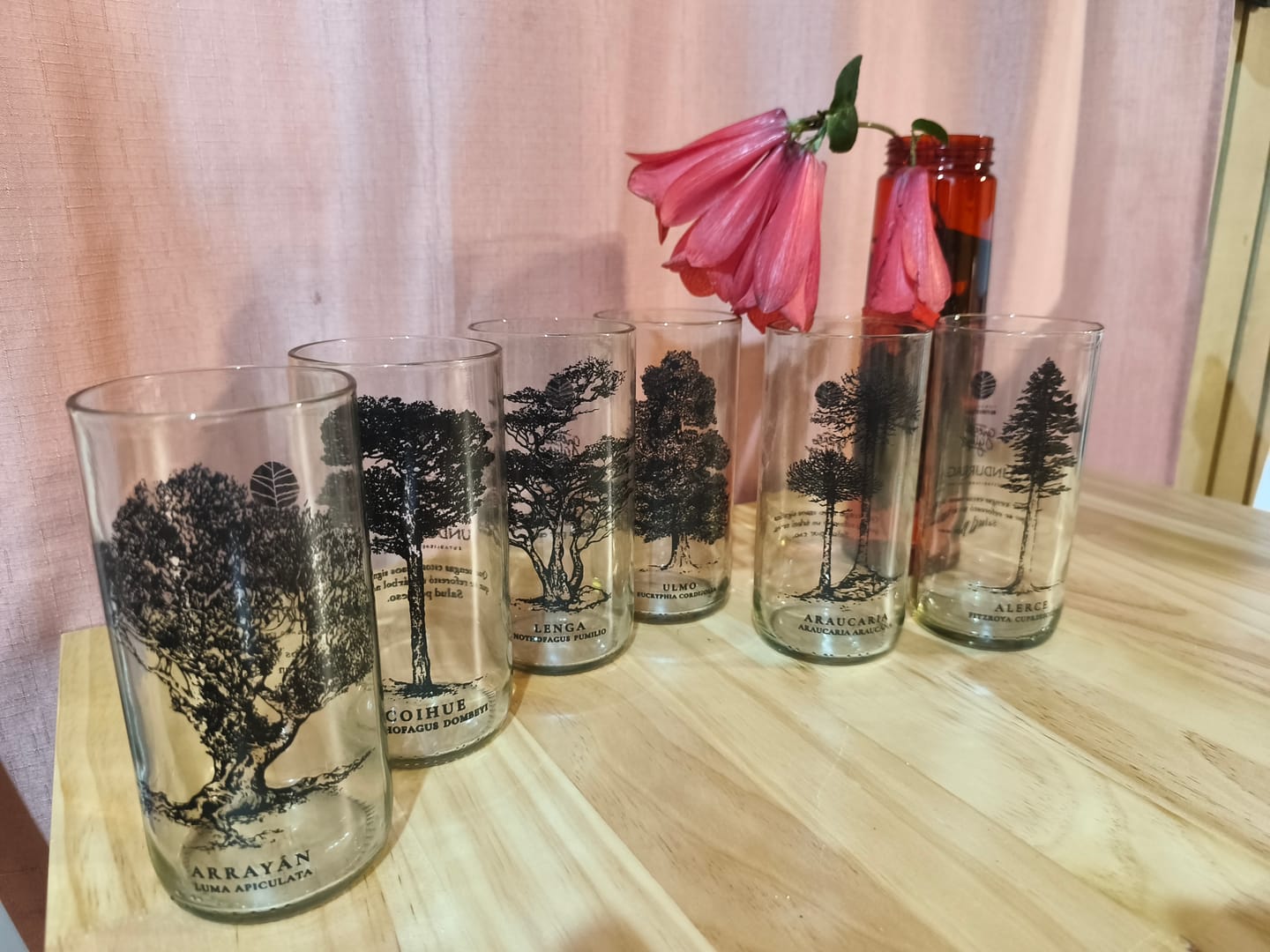 Customer photo review of Árboles de Chile - Juego de 6 Vasos - 500 ml