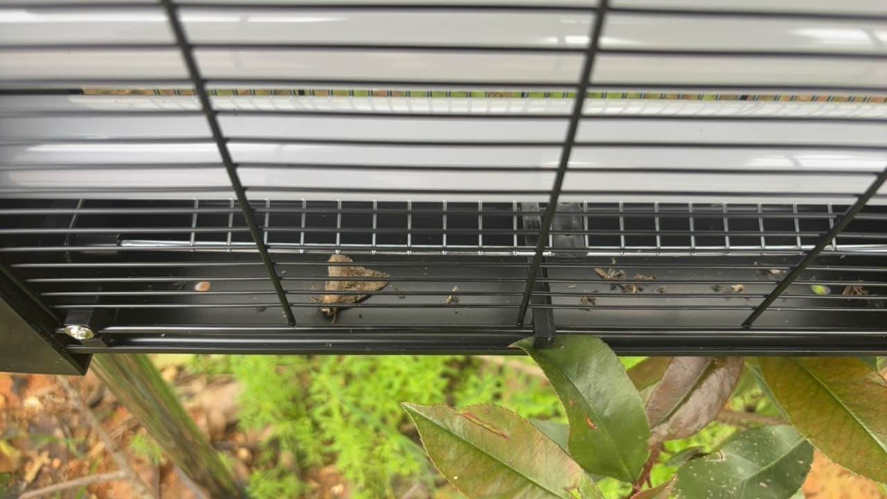 Customer photo review of 4500V Commercial Grade Solar Bug Zapper - Heavy Duty Mosquito Killer Pro