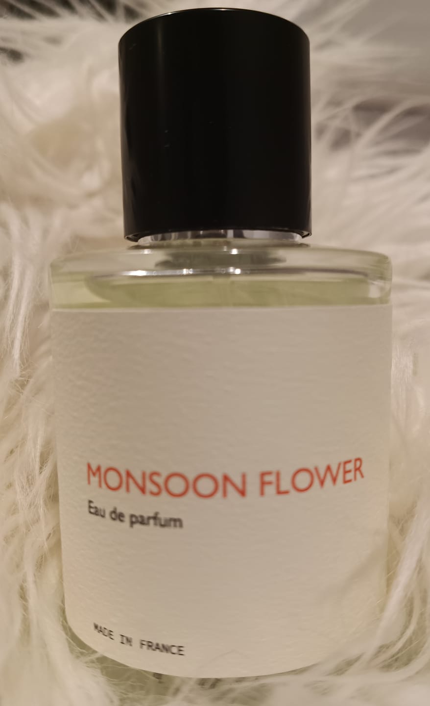 Customer photo review of Monsoon Flower