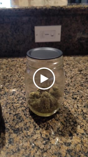 Customer video review of Mason Genie® Vacuum Sealer Kit