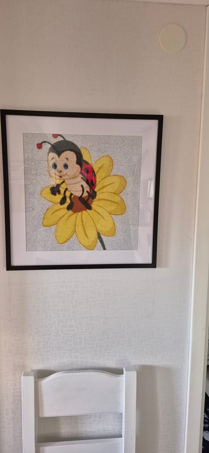 Customer photo review of Nyckelpiga på blomma