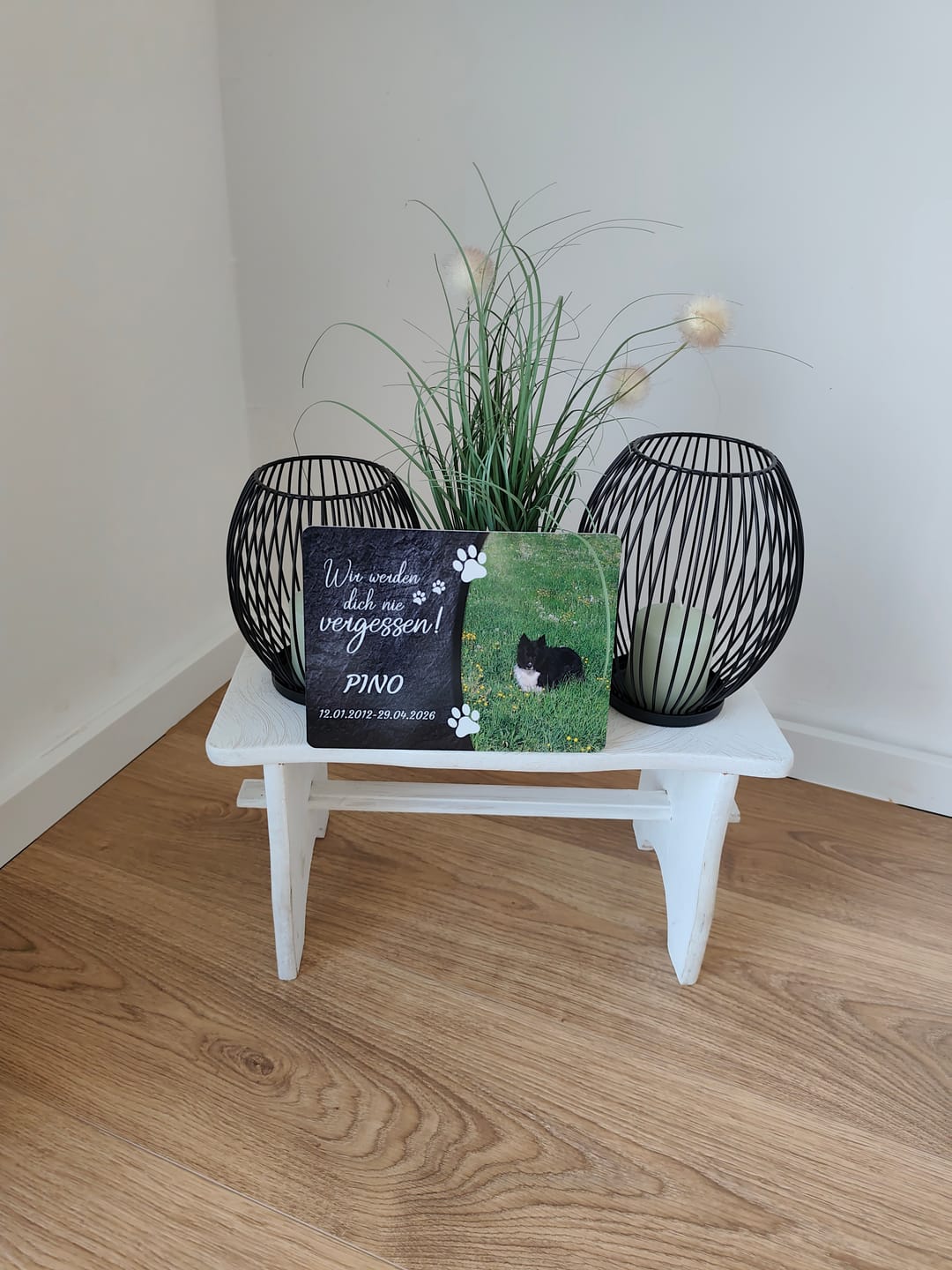 Customer photo review of Hunde Gedenktafel mit Foto & Spruch (UV- &  Wetterfest)