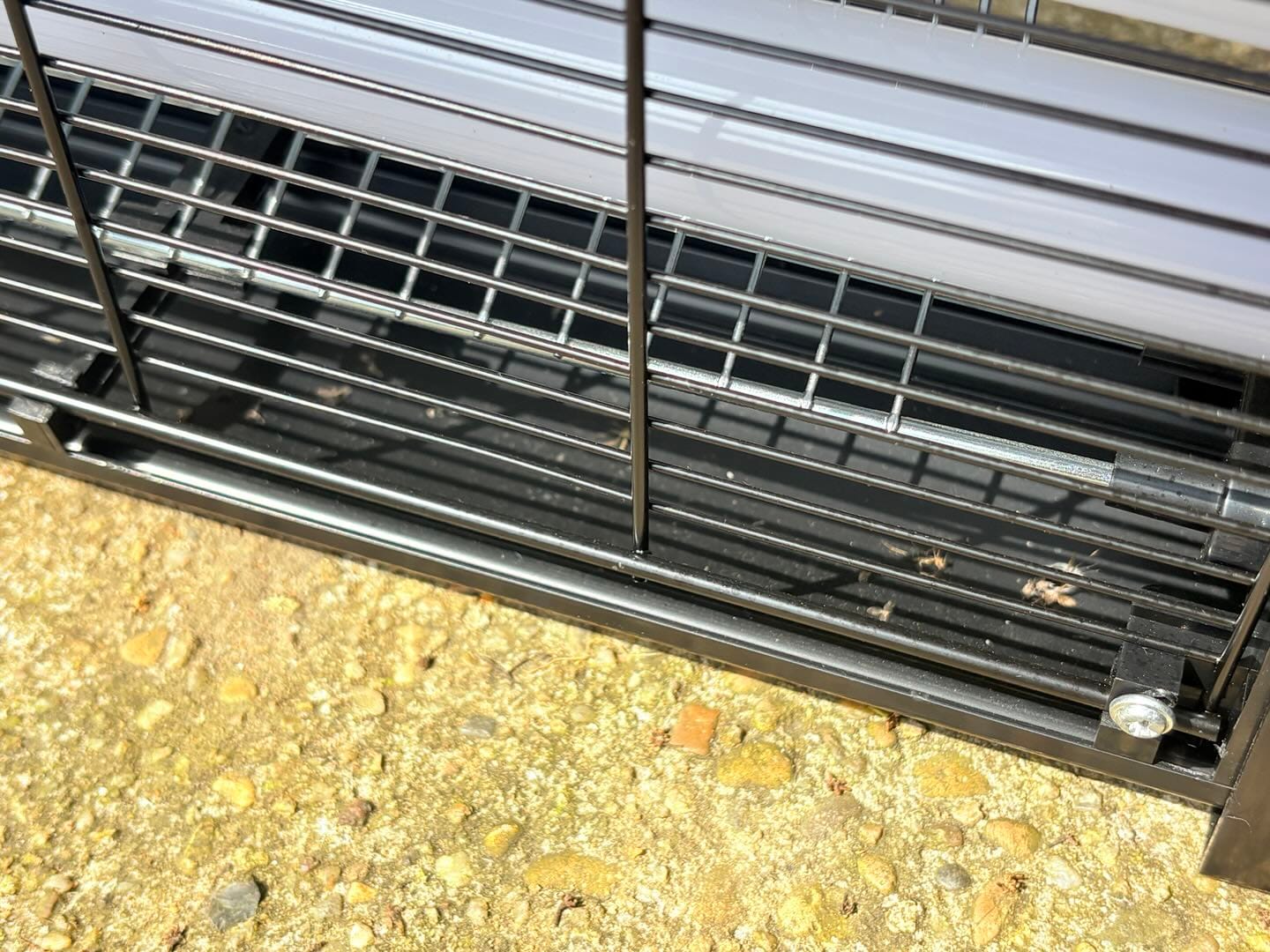 Customer photo review of 4500V Commercial Grade Solar Bug Zapper - Heavy Duty Mosquito Killer Pro
