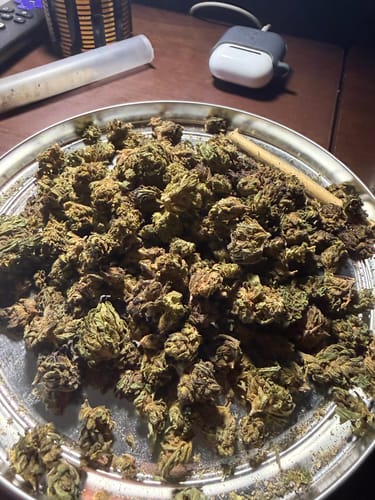Raspberry Kush MICROS - 28 Grams - Indica photo review