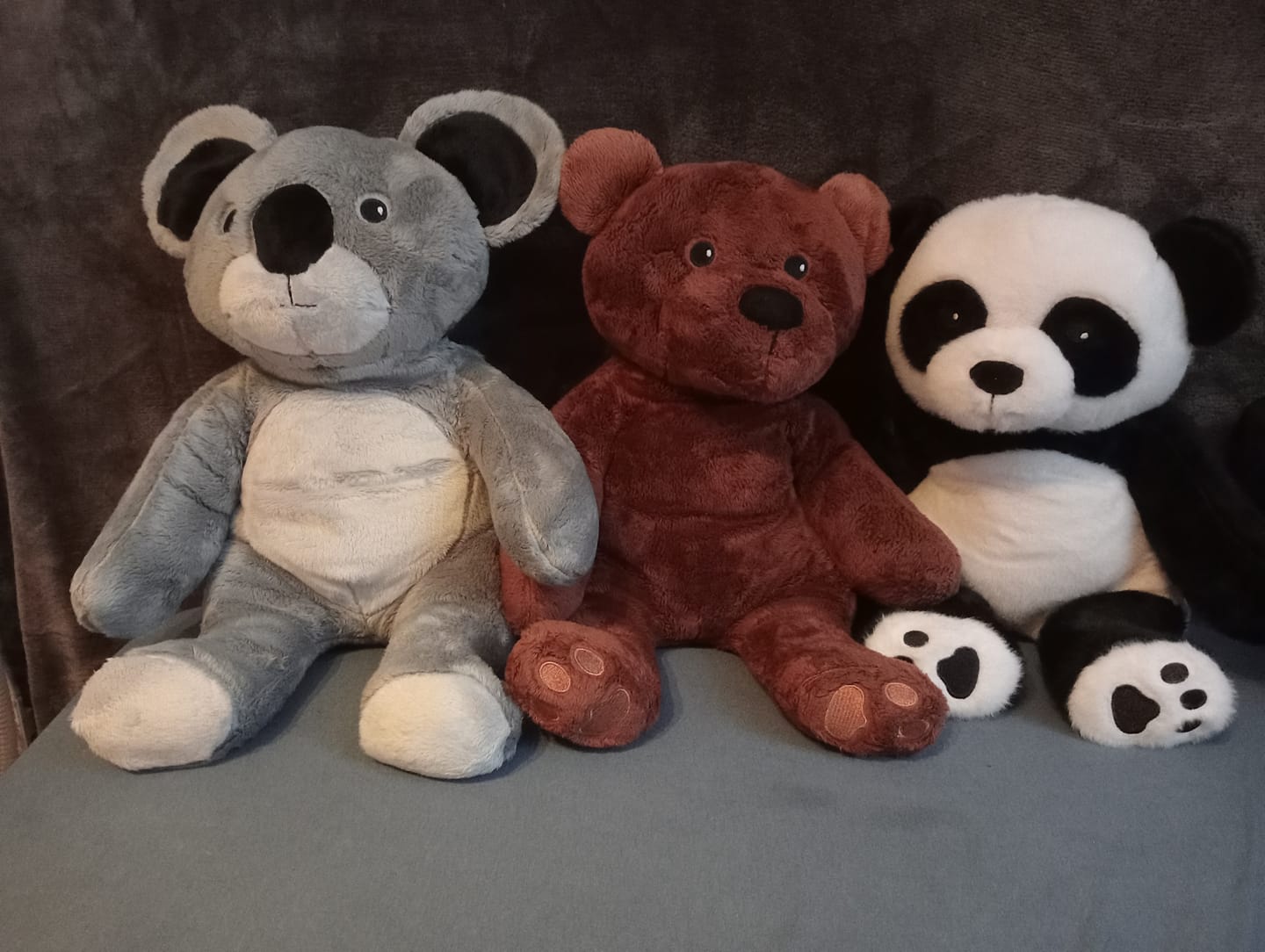 Customer photo review of Lotgenootje Panda 2kg