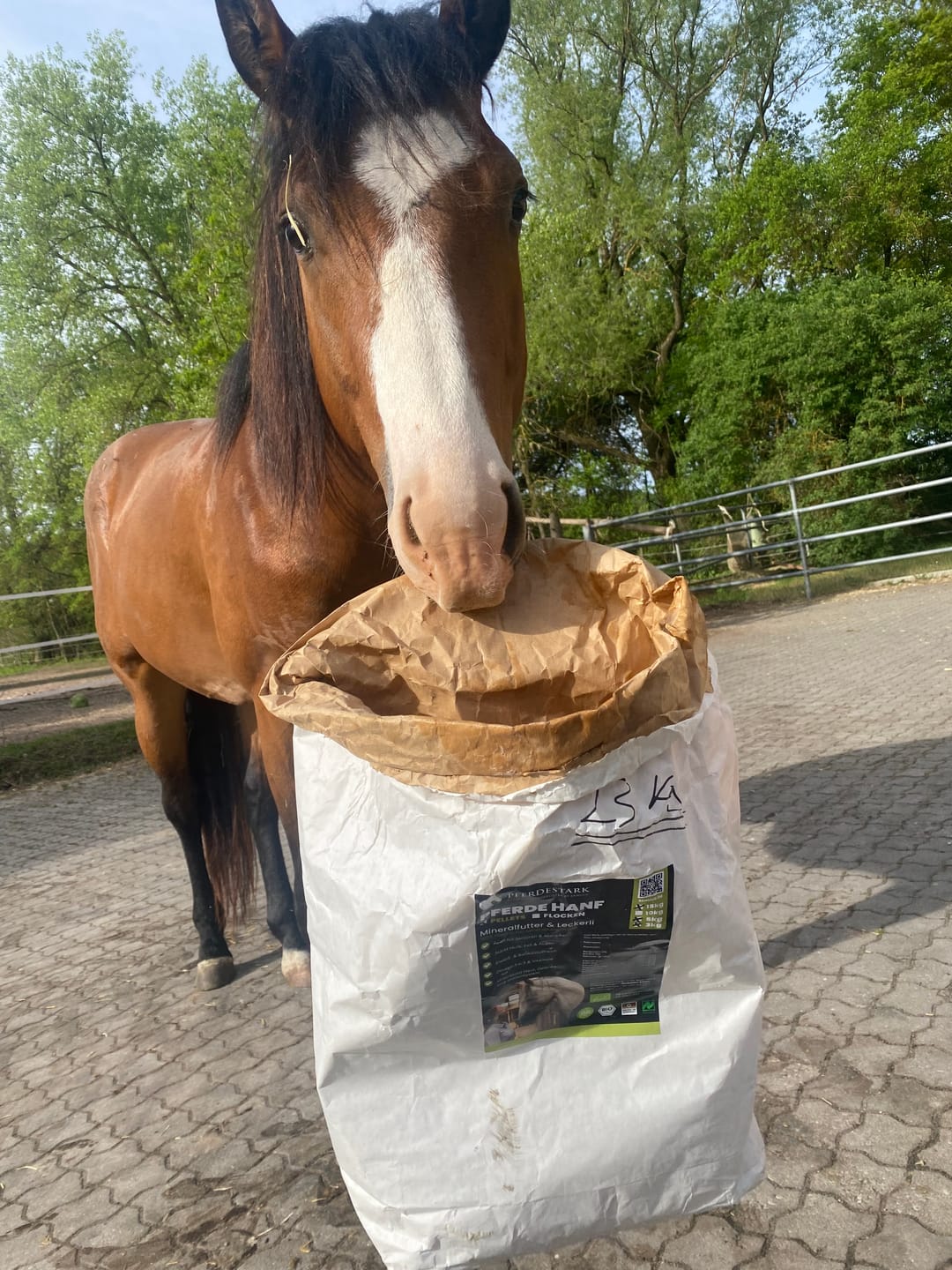 Customer photo review of PFERDESTARK Premium Bio Hanfpellets für Pferde Pferdefutter getreidefrei Mineralfutter 15kg Beutel Hanfpresskuchen