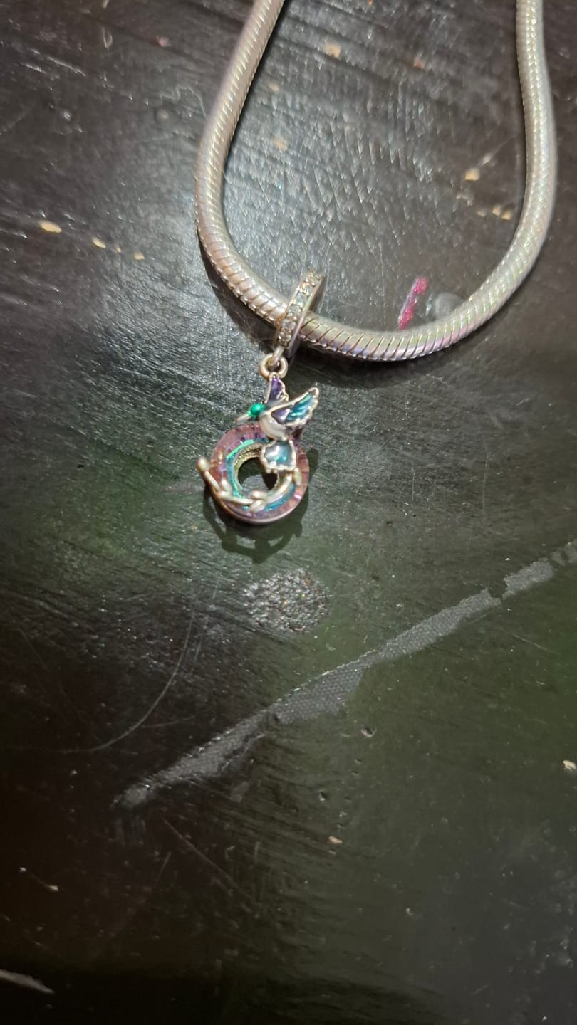 Customer photo review of Colibrí de la Eterna Vida