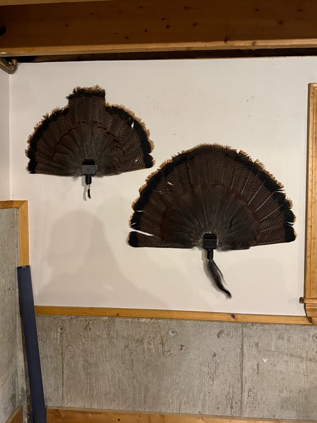 Customer photo review of BeardLok | Turkey Beard Clip