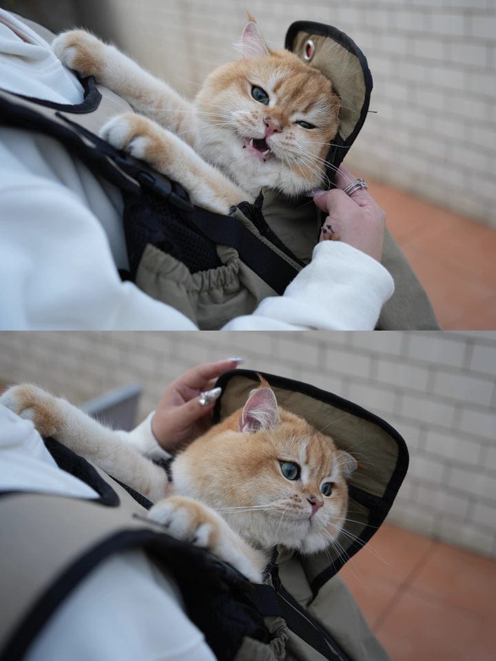 Customer photo review of Comfortable Labor-saving Front-Zip Front Pet Carrier