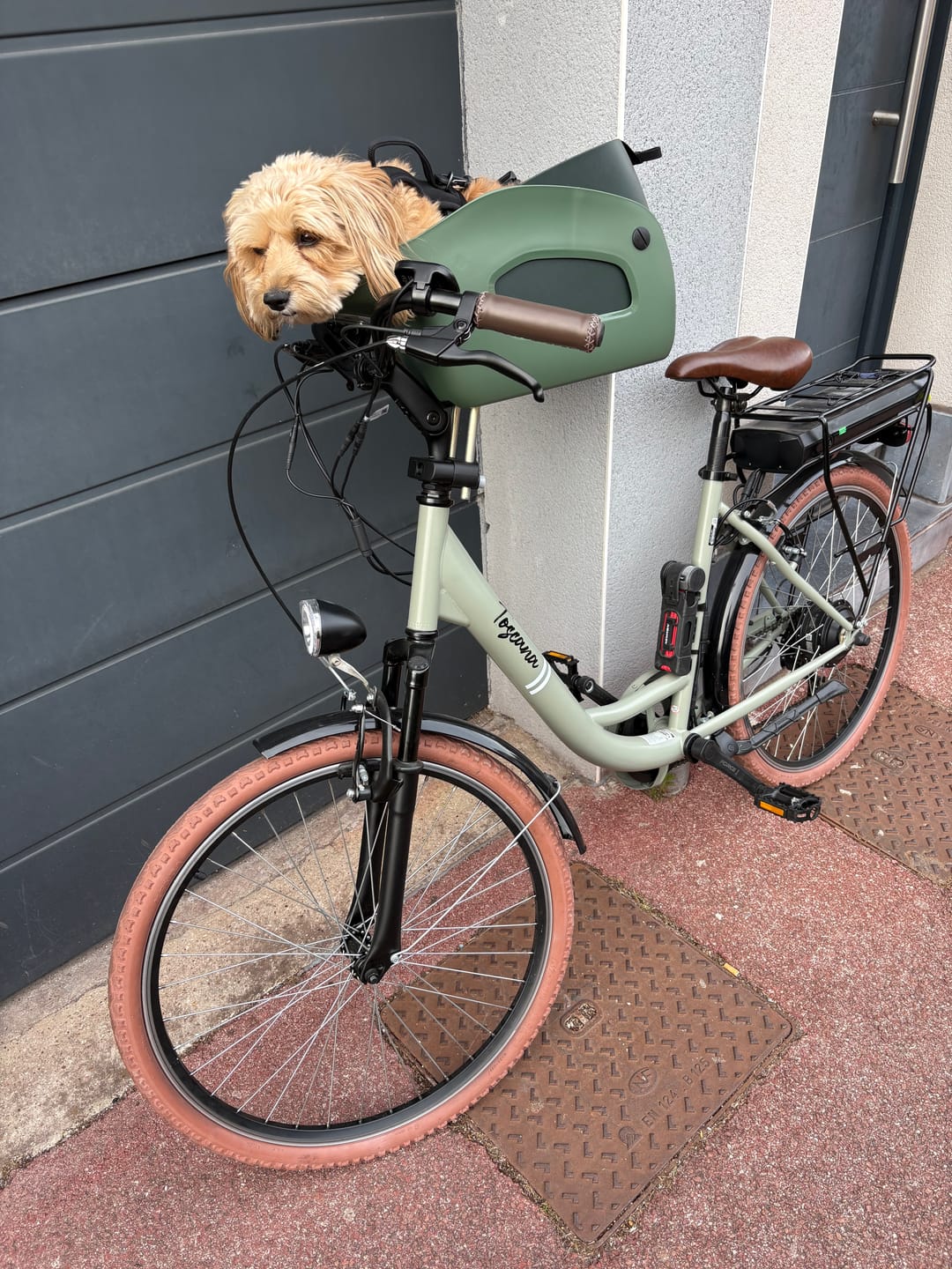 Customer photo review of Kvisp Dog Bike Carrier