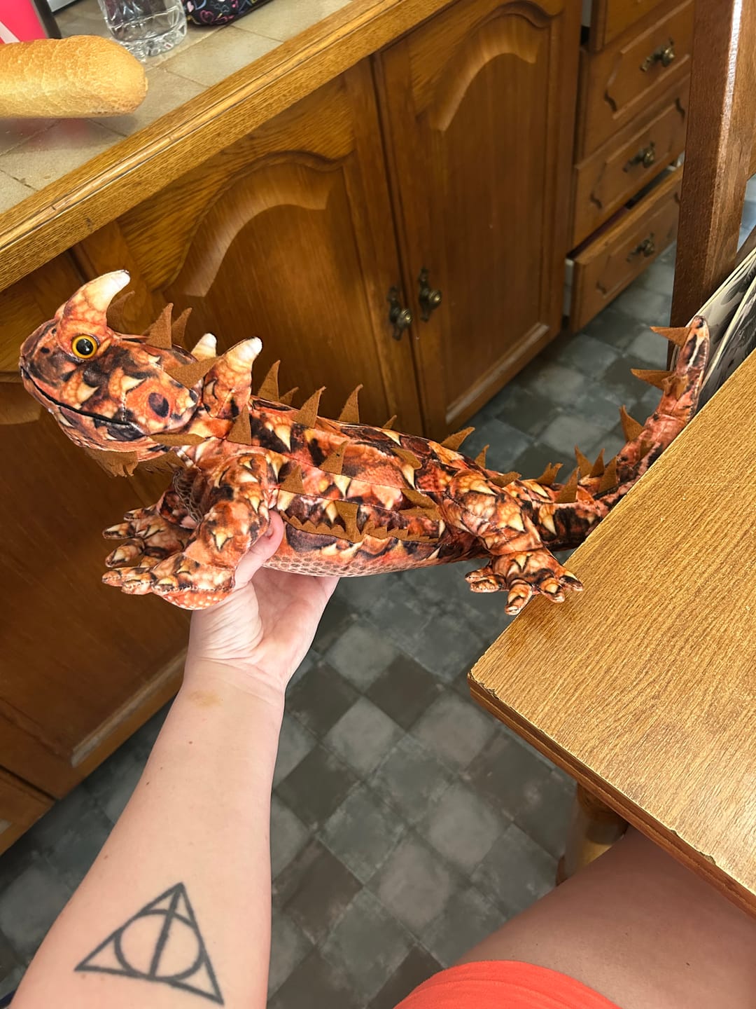 Customer photo review of Thorny Devil Lizard Soft Stuffed Plush Toy