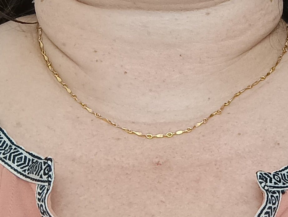 Customer photo review of Hammered Bar Chain