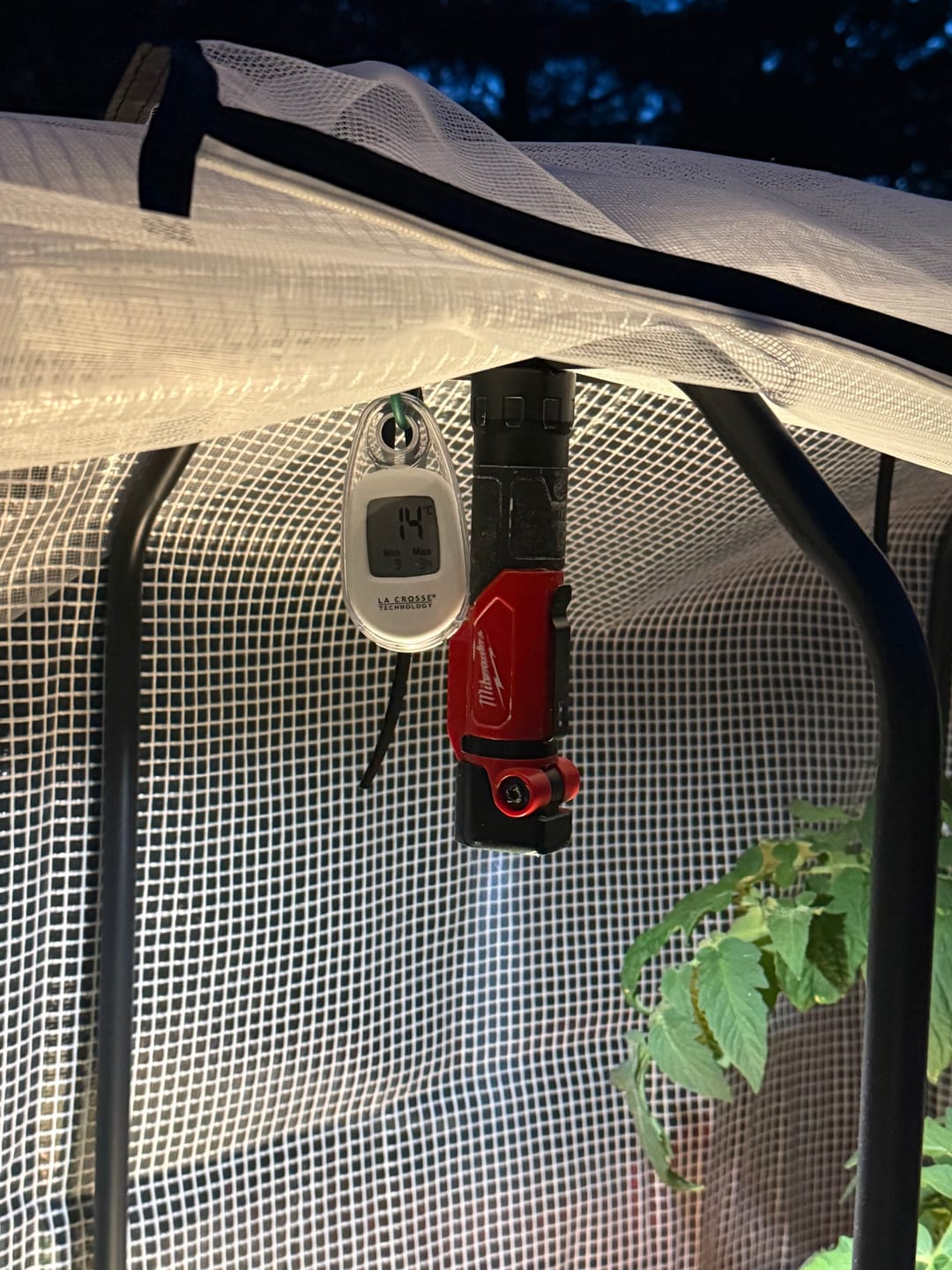Customer photo review of Greenhouse Cover