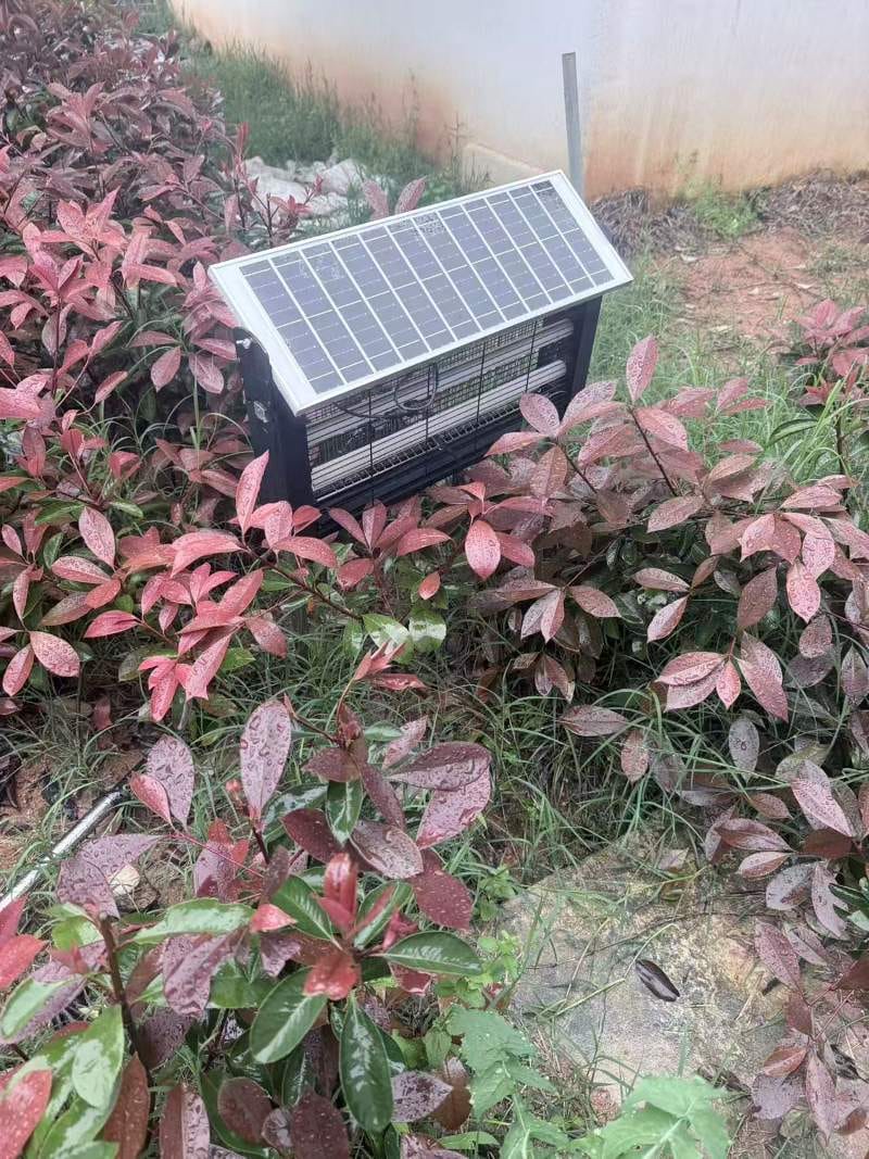 Customer photo review of 4500V Commercial Grade Solar Bug Zapper - Heavy Duty Mosquito Killer Pro