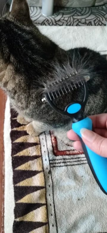 Customer photo review of Double-Sided Dog Dematting Comb & Deshedding Tool for Dogs & Cats