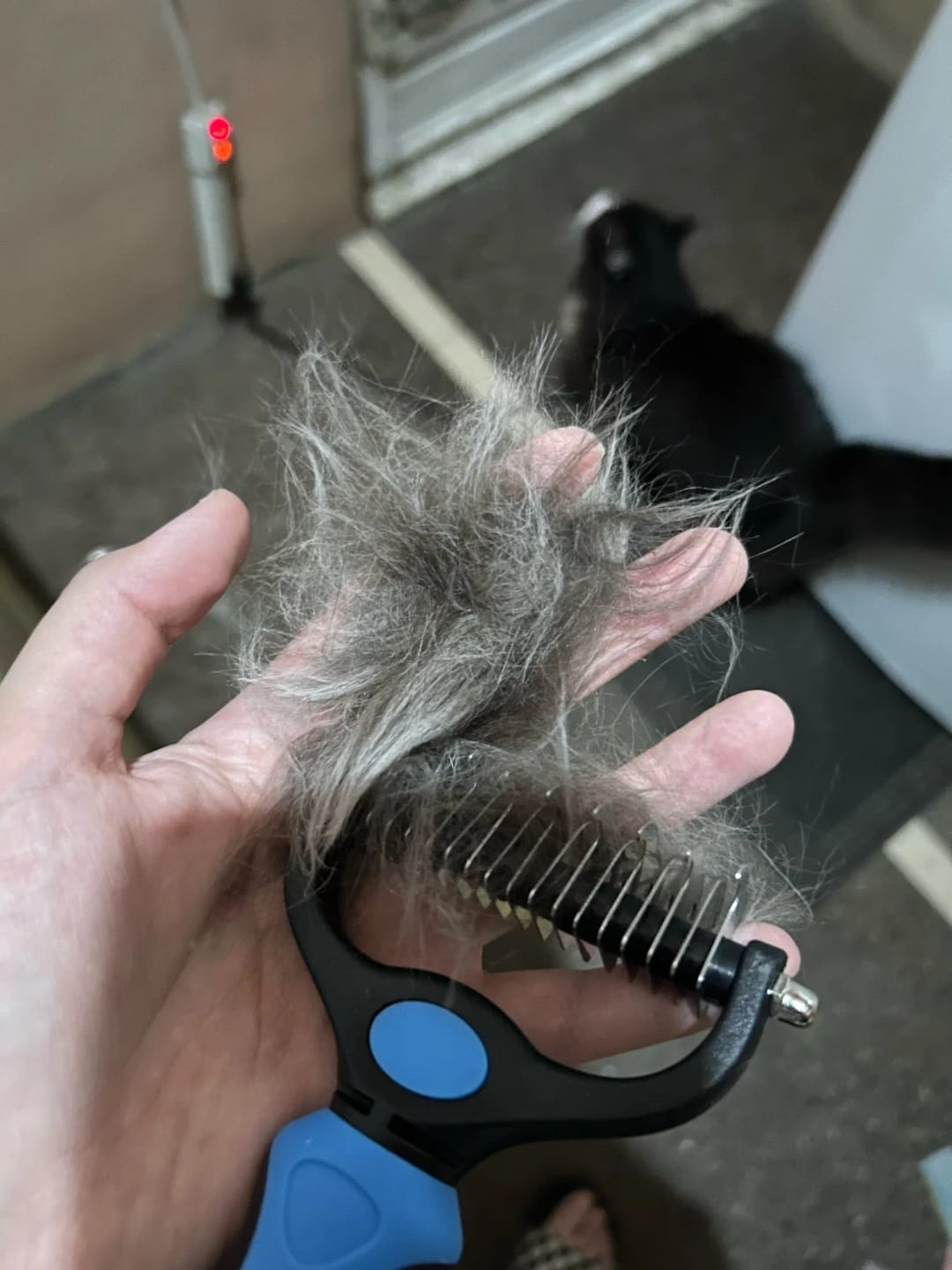Customer photo review of Double-Sided Dog Dematting Comb & Deshedding Tool for Dogs & Cats