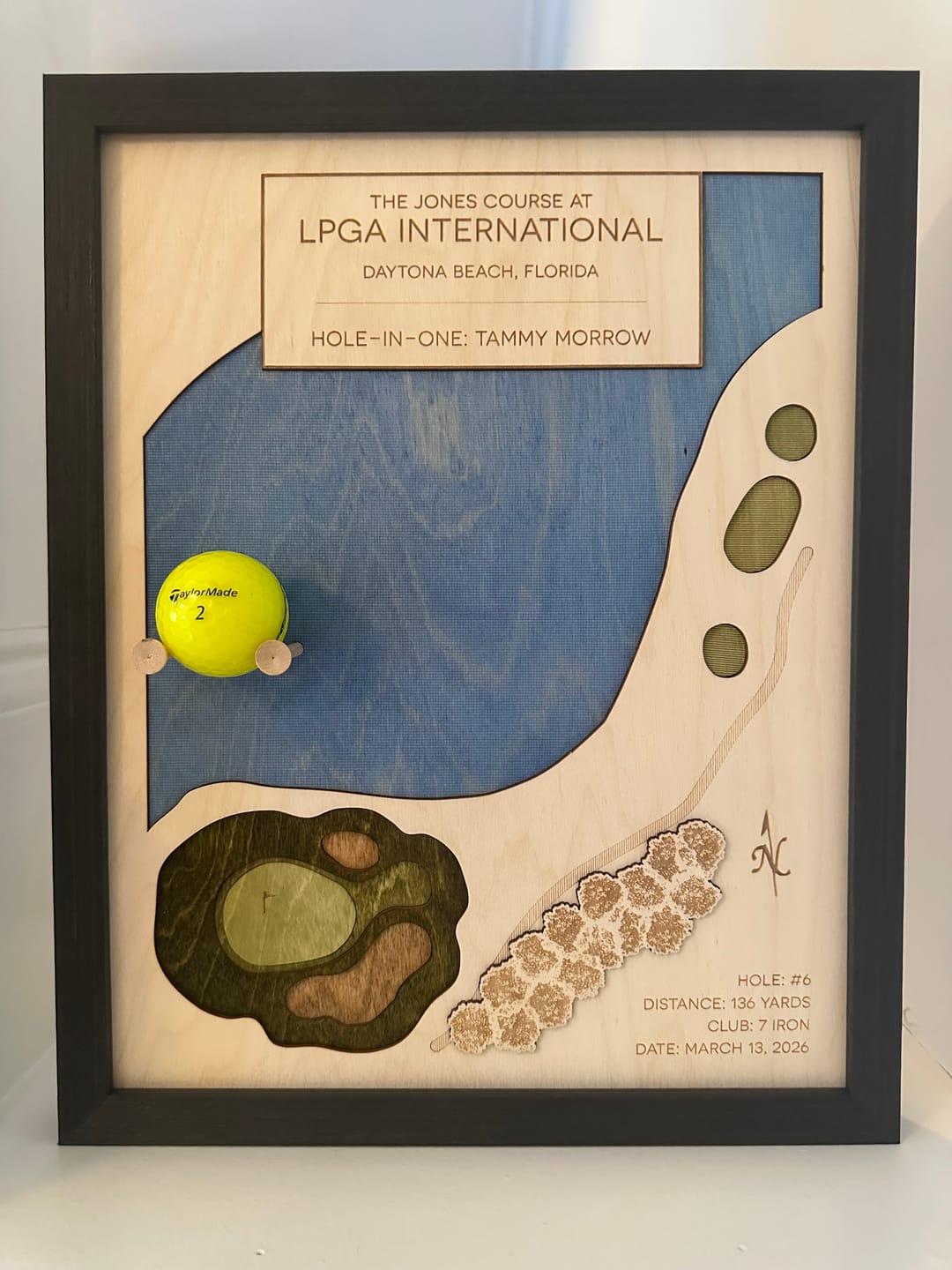 Customer photo review of Personalized Hole-in-One | Single Hole Golf Art