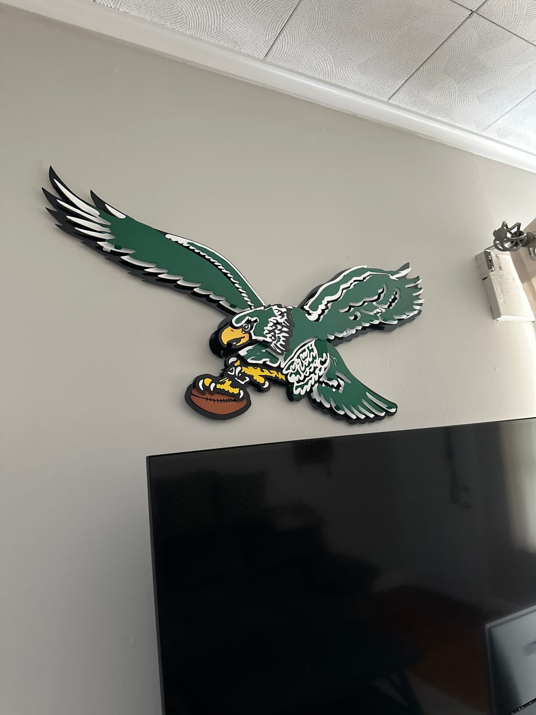 Customer photo review of Philadelphia Eagles "1987" Throwback 3D Vintage Metal Wall Art