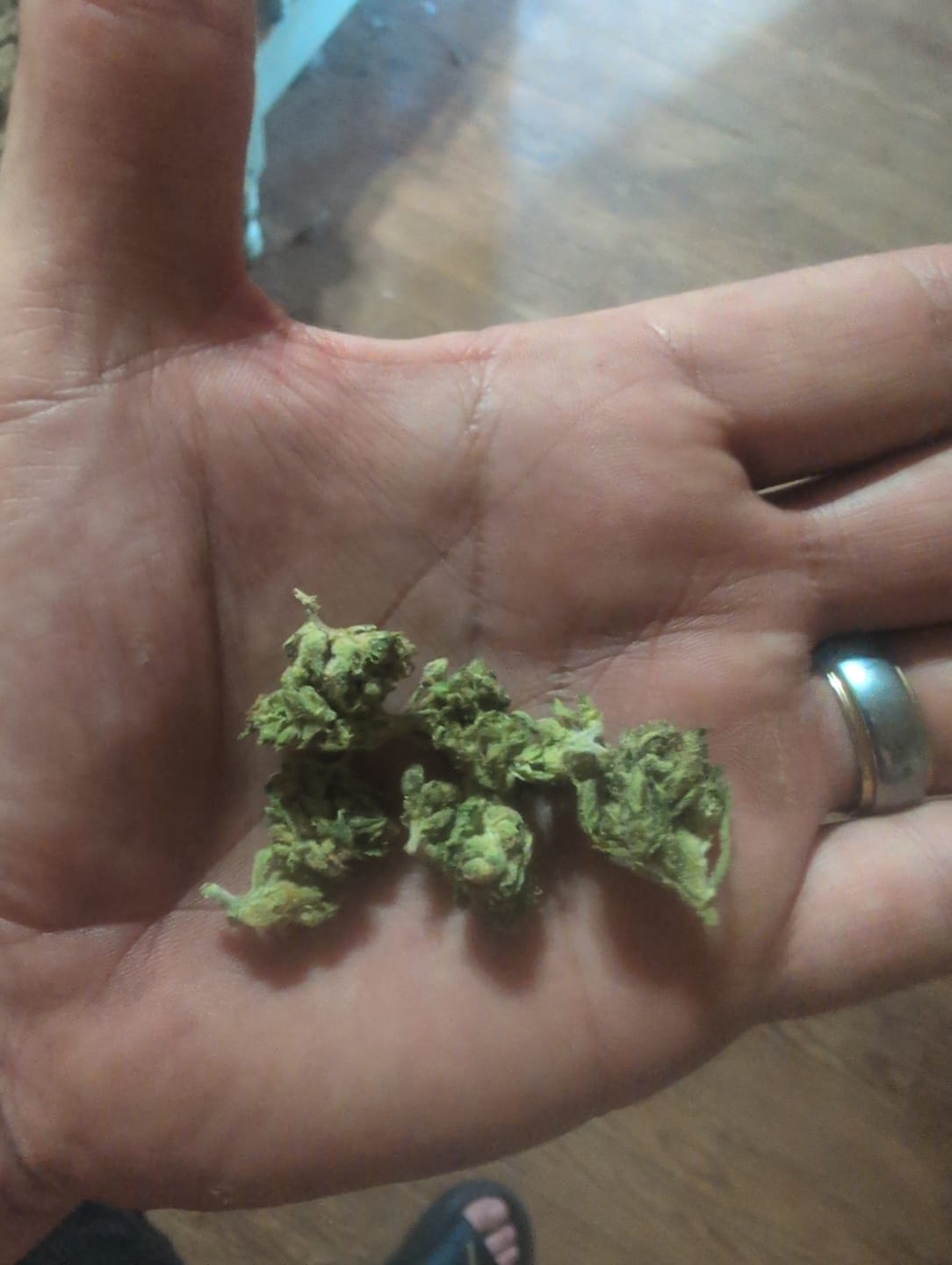 Customer photo review of Purple Kush - Minis - 28 Grams - Indica
