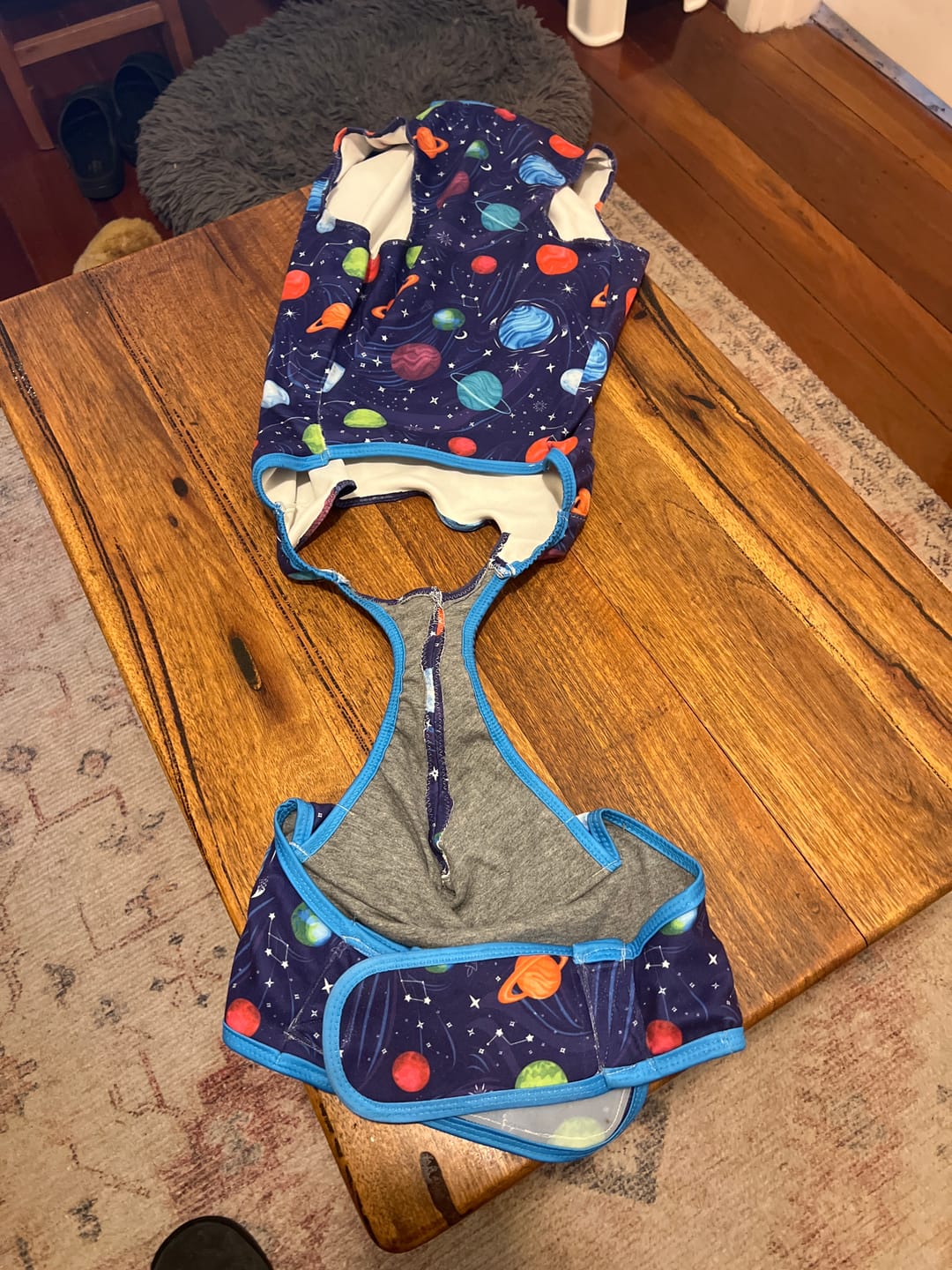 Customer photo review of Dog Surgical Suit
