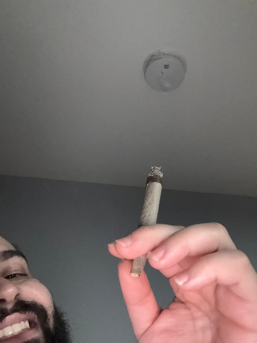 Customer photo review of Berry Gelato - 28 Grams - Indica